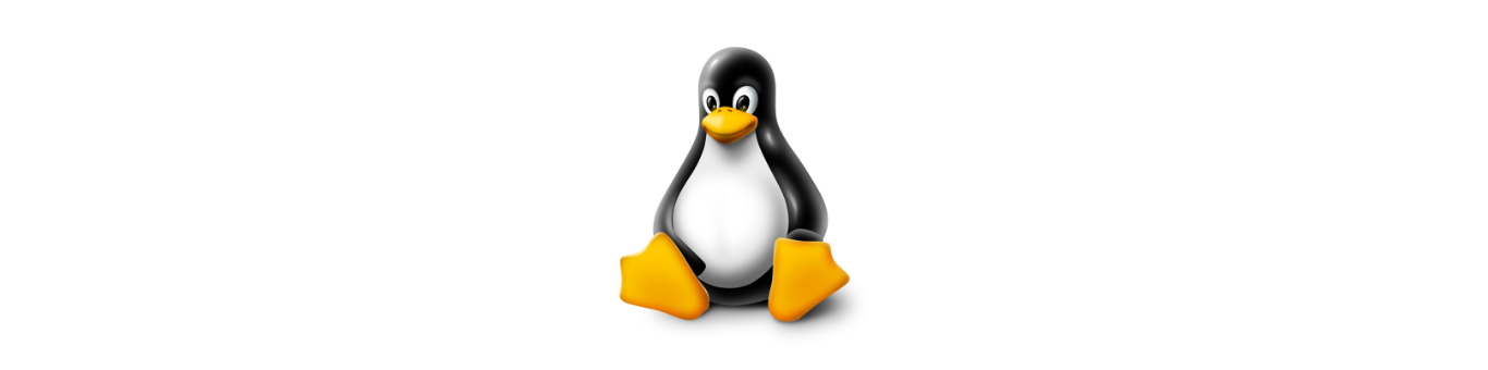 Featured Image Linux